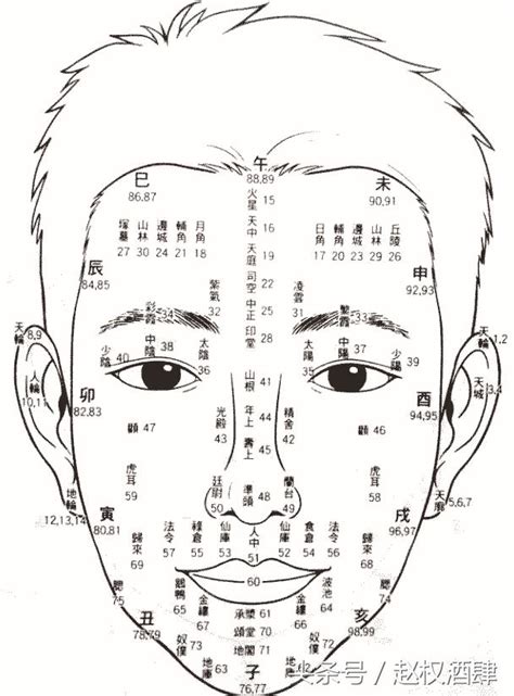 面相年齡圖|1到100歲，面相流年氣運圖教你如何看自己的面相